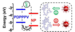 Driving Charge Separation for Hybrid Solar Cells: Photo-induced Hole Transfer in Conjugated Copolymer and Semiconductor Nanoparticle Assemblies
